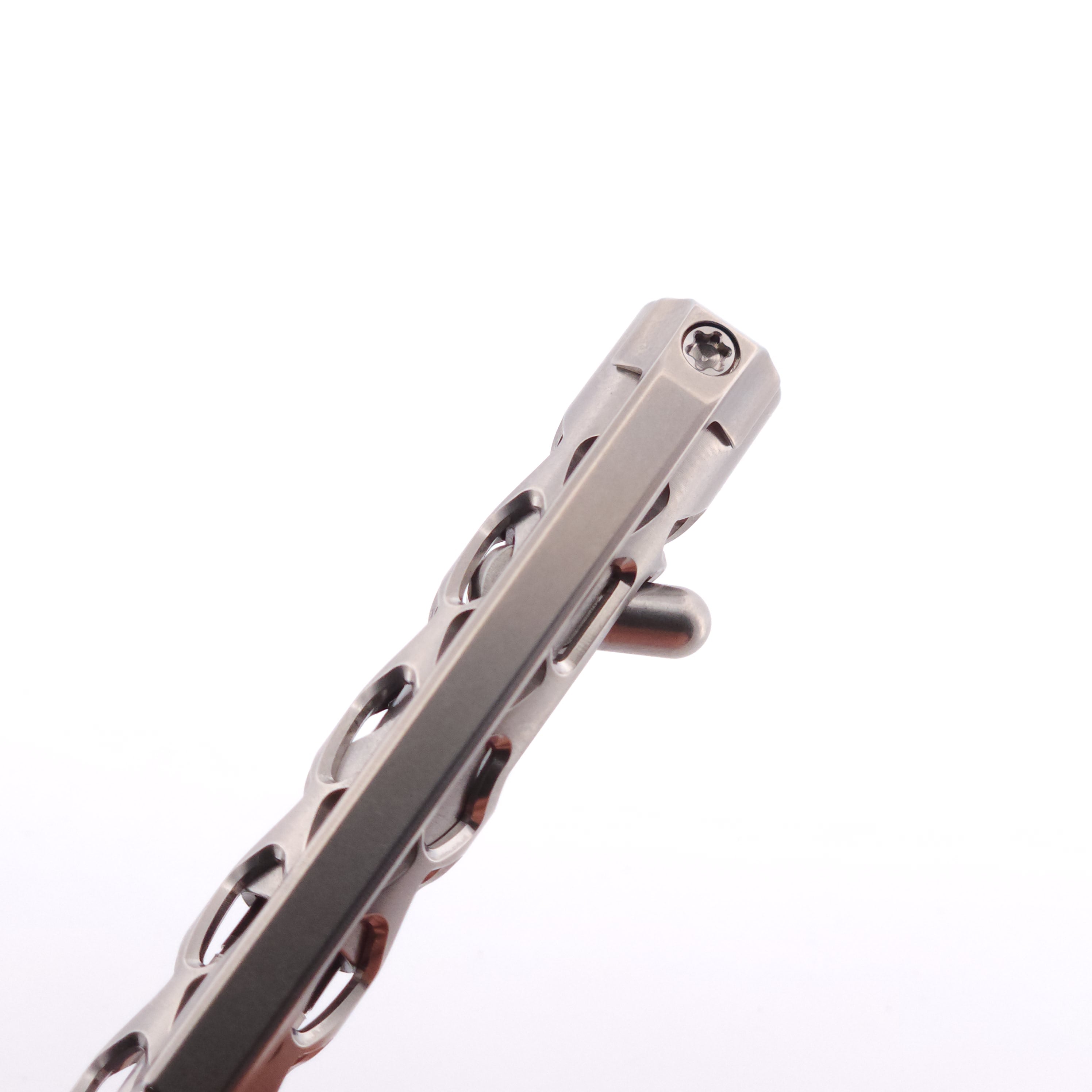 PL-788-T - Clickshift™ "Skelly Dragon"